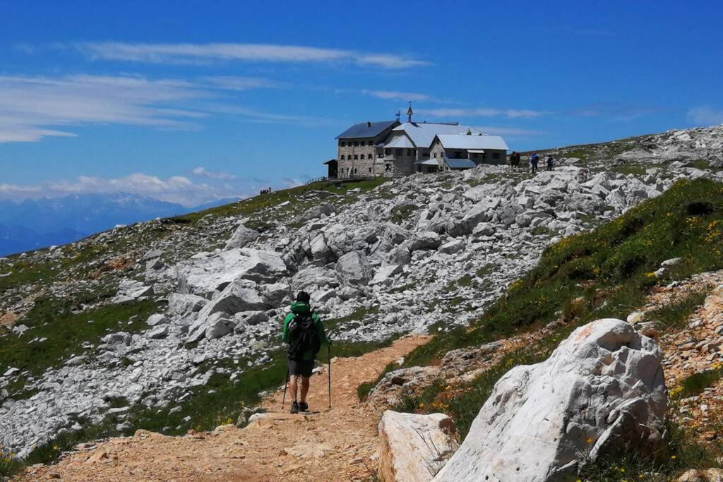 App Schlossblick - Wohnung Hammerwand 2 Umes Εξωτερικό φωτογραφία